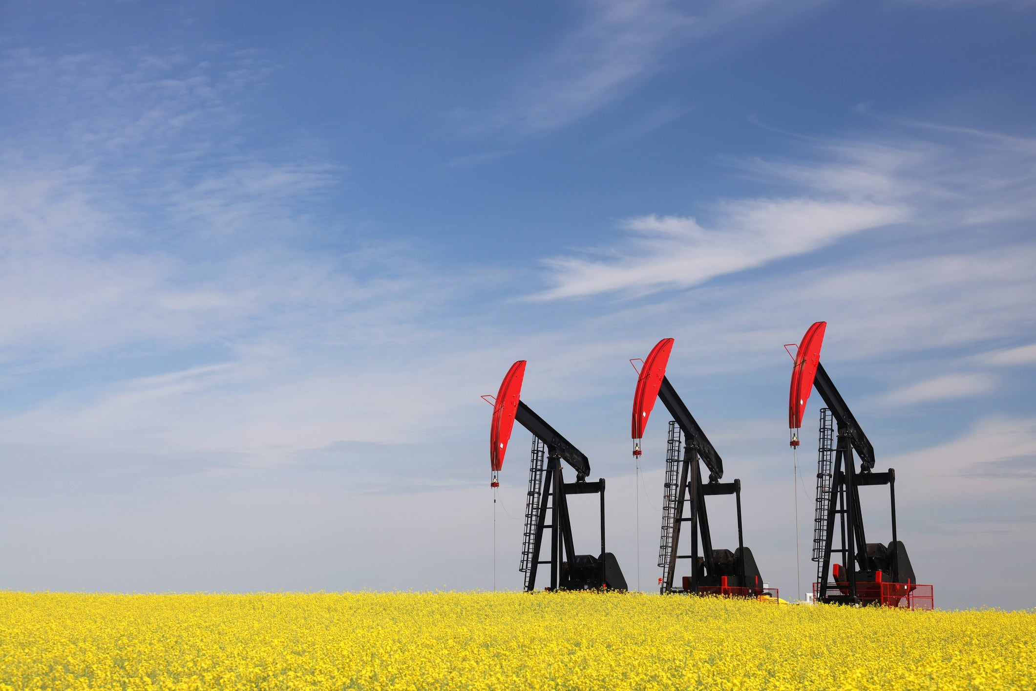 Industries we serve: